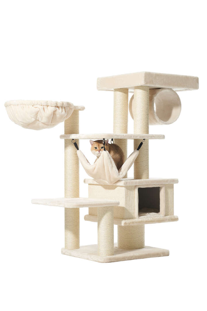 Nobby Kratzbaum Elin